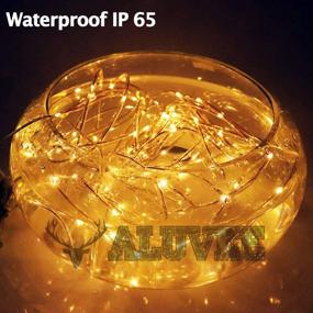 img 3 attached to 🌟 Aluvee 33ft Solar Rope String Light Outdoor - Waterproof Garden Decoration for Christmas, Wedding, Party, Tree, Xmas - 100LED Warm White + PVC Tube