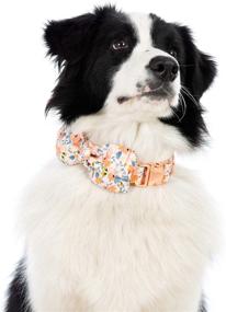 img 1 attached to 🐶 Cute Dog Collar Bow tie: Stylish 100% Cotton Flower Pattern Puppy Collar for Small, Medium and Large Dogs (Orange, Size M)