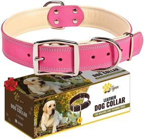 img 4 attached to 🐶 Padded Pink Leather Collar for Large Female Dogs - Soft and Durable Girl Dog Collar for Large Breeds (Pink, L)