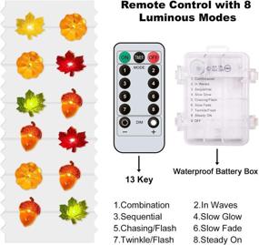 img 2 attached to 🎃 Halloween Fall Decor: 3D Pumpkin String Lights, 10.8ft 30LED Battery Powered with Remote - Perfect for Autumn, Halloween, Thanksgiving, and Christmas Home Decorations