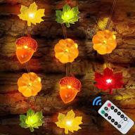 🎃 halloween fall decor: 3d pumpkin string lights, 10.8ft 30led battery powered with remote - perfect for autumn, halloween, thanksgiving, and christmas home decorations логотип