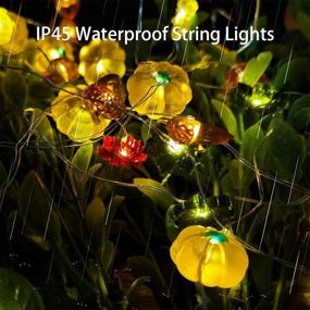 img 1 attached to 🎃 Halloween Fall Decor: 3D Pumpkin String Lights, 10.8ft 30LED Battery Powered with Remote - Perfect for Autumn, Halloween, Thanksgiving, and Christmas Home Decorations