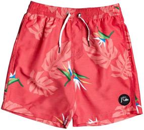 img 2 attached to Quiksilver Destination Volley Boardshort Pagoda Boys' Clothing