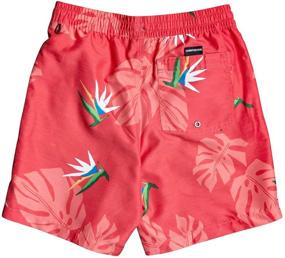 img 1 attached to Quiksilver Destination Volley Boardshort Pagoda Boys' Clothing