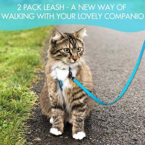 img 3 attached to 🐾 2 Pack DOYOO Puppy Dog and Cat Leash – Strong and Durable with Easy-to-Use Collar Hook, Suitable for Small and Medium Dogs – Includes Collapsible Pet Bowl