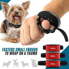 img 1 attached to eXuby Friendly Dog Bark Collar: Small Dog Training Device w/ Microphone – Humane Sound & Vibrations – No Shock, Only Activates on Barking – Advanced Chipset for Customized Vibration – No Prongs