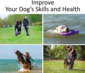 img 3 attached to 🐶 Optimized Dog Training Equipment - Bonus: Puller Plus - Giant Medium K9 Large Dog Training Tool - Boost Your Dog's Real Physical and Emotional Load - Premium Dog Supplies