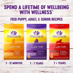 img 1 attached to 🐶 USA-Made Wellness Complete Health Senior Dry Dog Food with Grains - Natural Chicken & Barley Formula for Adult Dogs