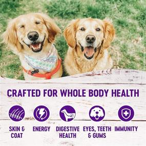 img 2 attached to 🐶 USA-Made Wellness Complete Health Senior Dry Dog Food with Grains - Natural Chicken & Barley Formula for Adult Dogs