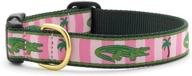 🐊 alligator dog collar for rustic adventure: up country logo