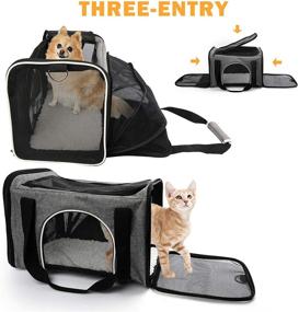 img 2 attached to 🐱 PrimePets Cat Carrier: TSA Approved, Expandable Soft-Sided Bag for Travel with Small Dogs, Puppies, Kittens - Collapsible and Foldable - Gray