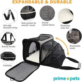 img 3 attached to 🐱 PrimePets Cat Carrier: TSA Approved, Expandable Soft-Sided Bag for Travel with Small Dogs, Puppies, Kittens - Collapsible and Foldable - Gray