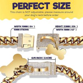 img 2 attached to 💎 Diamond Dog Gold Chain Collar - 10mm Luxury Necklace Jewelry for Pets - Fancy Golden Choker with Sparkly Crystal Bling, Adjustable Links & Durable Clasp - Doggy Fashion Accessories