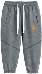 img 3 attached to LeeXiang Dinosaur Embroidered Sweatpants for Boys (3-8Years) - Clothing in Pants