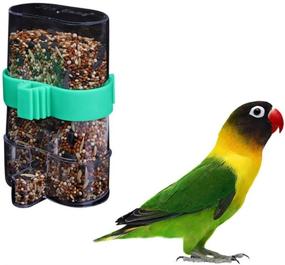 img 3 attached to 🐦 POPETPOP Bird Water and Food Dispenser - 2PCS Automatic Feeder Parrot Drinker Bottle Container Pet Bird Dual-Use Feeder Bird Food Dispenser