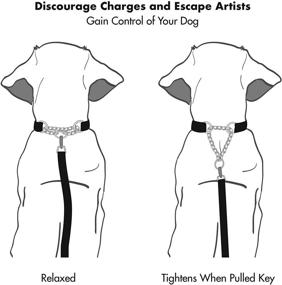 img 1 attached to 🐾 Enhance Dog Training with Friends Forever Reflective Martingale Collars for Large/Medium Breed Dogs