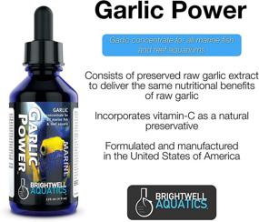 img 1 attached to 🧄 Brightwell Aquatics Garlic Power: Boost Your Marine Aquarium with Liquid Garlic Concentrate