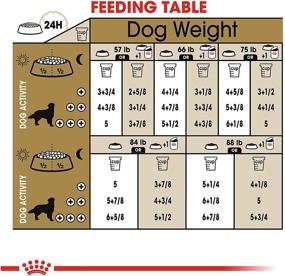 img 1 attached to 🐶 High-Quality Royal Canin Golden Retriever Adult Breed-Specific Dry Dog Food - Daily Nutrition for Your Faithful Companion