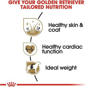 img 2 attached to 🐶 High-Quality Royal Canin Golden Retriever Adult Breed-Specific Dry Dog Food - Daily Nutrition for Your Faithful Companion
