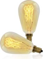 vintage retro edison bulb 2-pack: st45, 40w, e12 base (small) - timeless lighting logo