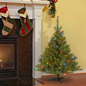 img 3 attached to 🎄 National Tree Company 4ft Pre-Lit Artificial Green Christmas Tree - Kincaid Spruce with Multicolor Lights and Stand