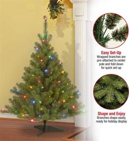 img 1 attached to 🎄 National Tree Company 4ft Pre-Lit Artificial Green Christmas Tree - Kincaid Spruce with Multicolor Lights and Stand