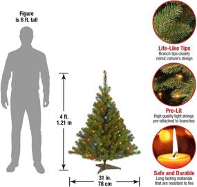 img 2 attached to 🎄 National Tree Company 4ft Pre-Lit Artificial Green Christmas Tree - Kincaid Spruce with Multicolor Lights and Stand