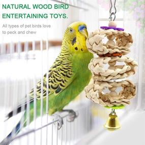 img 1 attached to 🐦 Premium Natural Wood Bird Swing Toys - 8-Piece Set for Small Birds including Parrots, Anchovies, Parakeets, Cockatiel, Conure, Mynah, Macaw - Durable Rope Bungee Bird Toy