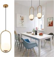 modern style chandelier pendant lighting – adjustable fixture with frosted glass globe lampshade – perfect for indoor hanging in kitchen, dining room, and bedroom – one-light lamp логотип