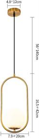 img 3 attached to Modern Style Chandelier Pendant Lighting – Adjustable Fixture with Frosted Glass Globe Lampshade – Perfect for Indoor Hanging in Kitchen, Dining Room, and Bedroom – One-Light Lamp