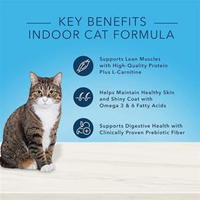 img 2 attached to 🐈Blue Buffalo True Solutions Fab Feline Natural Indoor Adult Cat Food - Цыпленок | Сухой и Влажный Комбо