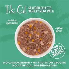 img 2 attached to 🐱 Premium Quality TIKI PETS Tiki Cat Favorites Cat Wet Food Variety Pack, Chicken or Fish - Pack of 36 (2.8/3 oz Cans)