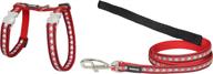 enhanced safety & style: red dingo reflective cat harness and lead combo logo