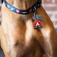 open road brands nylon adjustable buckle dog collar with print design: stylish home décor for your beloved pets logo