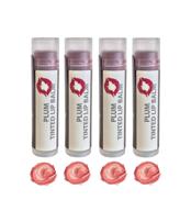 sky organics tinted lip balm: 4 pack plum color - beeswax, coconut oil, cocoa butter, vitamin e - minty lip plumper - moisturizing lip moisturizer for dry, chapped lips - made in usa logo