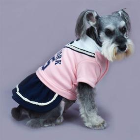 img 2 attached to 🐶 petalk Dog Dress: Stylish Spring Autumn Outfit for Small Dogs - Princess Skirt Pet Clothing