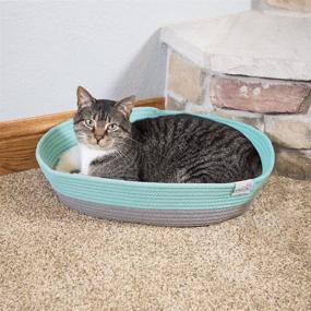 img 2 attached to 🐱 Ultimate Comfort: Kitty City Cat Bed - The Perfect Cat House Bed, Sofa Bed, and Cat Rope Bed Combo!