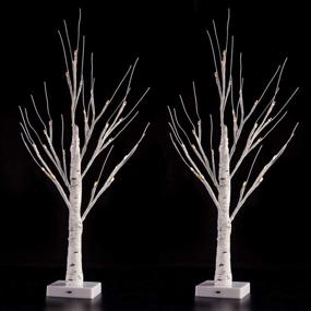 img 4 attached to 🌳 Sunnyglade 2PCS 2Ft 24 LED Birch Tree Light: Warm White Fairy Tree Bonsai for Home Wedding Festival Party Christmas Decoration