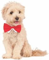 stylish red pet bowtie by 🎀 rubie's costume company: elevate your pet's style game! логотип