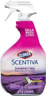 🧼 clorox scentiva multi surface cleaner - tuscan lavender & jasmine, pack of 6 - 32 fl. oz. logo