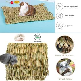 img 2 attached to Kathson Natural Bedding Animals Chinchilla