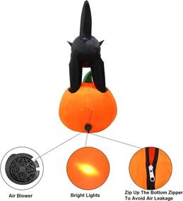 img 1 attached to 🎃 JinhzWin 6ft Halloween Inflatable Decorations - Black Cat on Pumpkin with LED Rotating Lights - Blow Up Halloween Thanksgiving Yard Decor for Indoor Outdoor Garden Lawn