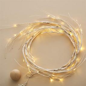 img 4 attached to 🌿 Birch Branch Lights - Artificial Twig Vine Hanging Garland with 48 LED, 6FT - Perfect for Home Kitchen Garden Office Wedding Party Bedroom Wall Decoration (White)