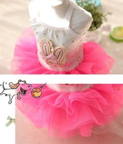 img 3 attached to 👗 MaruPet Sweet Princess Skirt for Dogs | Lace Camisole Tutu Dress with Lace Cake Design | SkyBlue XS