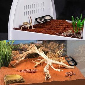 img 3 attached to 🦎 Suction Cup Gecko Feeding Ledge with 2 Bowls: Ideal Dish for Reptiles - Snakes, Lizards, Spiders, Chameleons, Corn Snakes, Iguanas, and More!