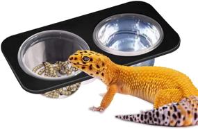 img 4 attached to 🦎 Suction Cup Gecko Feeding Ledge with 2 Bowls: Ideal Dish for Reptiles - Snakes, Lizards, Spiders, Chameleons, Corn Snakes, Iguanas, and More!