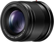 panasonic lumix g lens 42.5mm f1.7 asph. - mirrorless micro four thirds with power optical i.s. - h-hs043k (usa black): professional photography lens for stunning shots logo