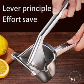 img 1 attached to Lemon Squeezer Stainless Steel - Manual Orange Juice Squeezer & Handheld Citrus Fruit Presser