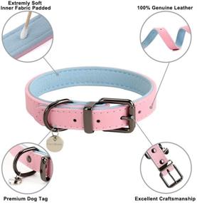 img 2 attached to 🐶 SuperBuddy Genuine Leather Dog Collar: Adjustable, Durable & Soft Padded Pet Collars for Puppy, Small, Medium, and Large Dogs - Ultimate Comfort and Style!