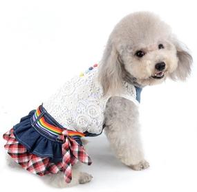 img 3 attached to 👑 SELMAI Dog Costumes: Princess Denim Tutu Skirt for Small Pets - Party Rompers, Cat Puppies Jumpsuit & Hollow Lace Floral Vest Shirt. Perfect Girls Sundress for Spring, Summer, Autumn